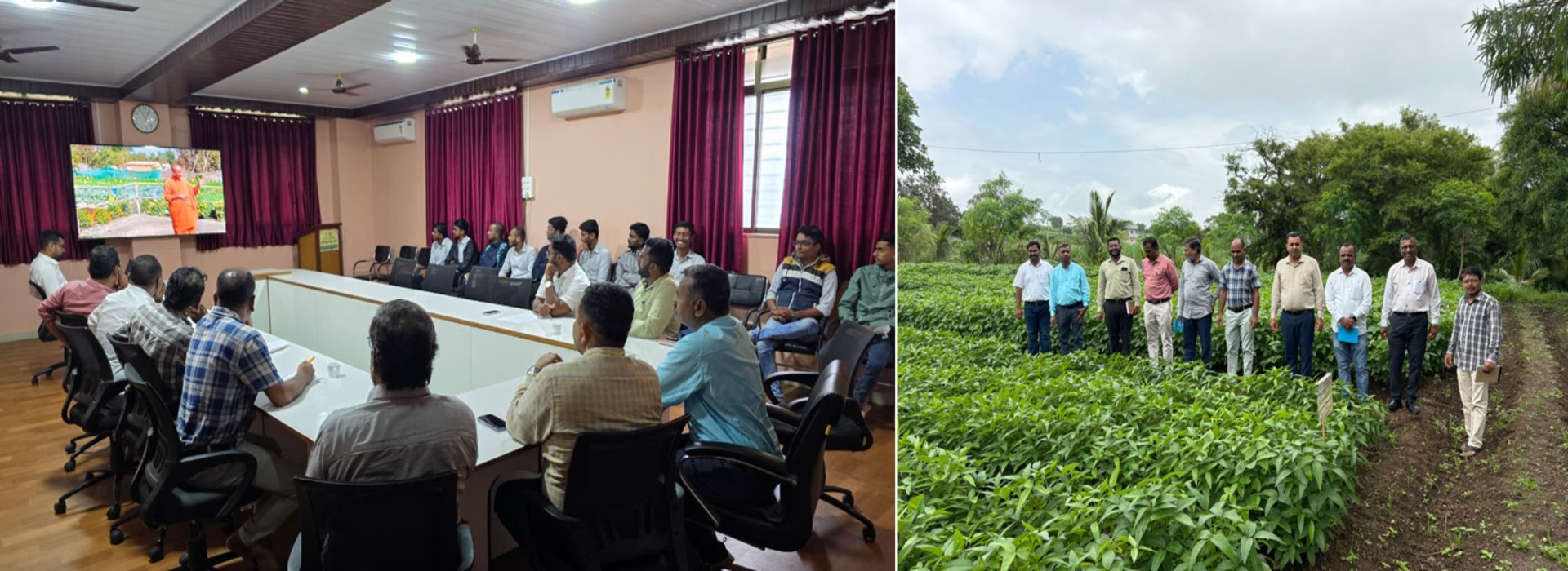 Soil MPKV Rahuri