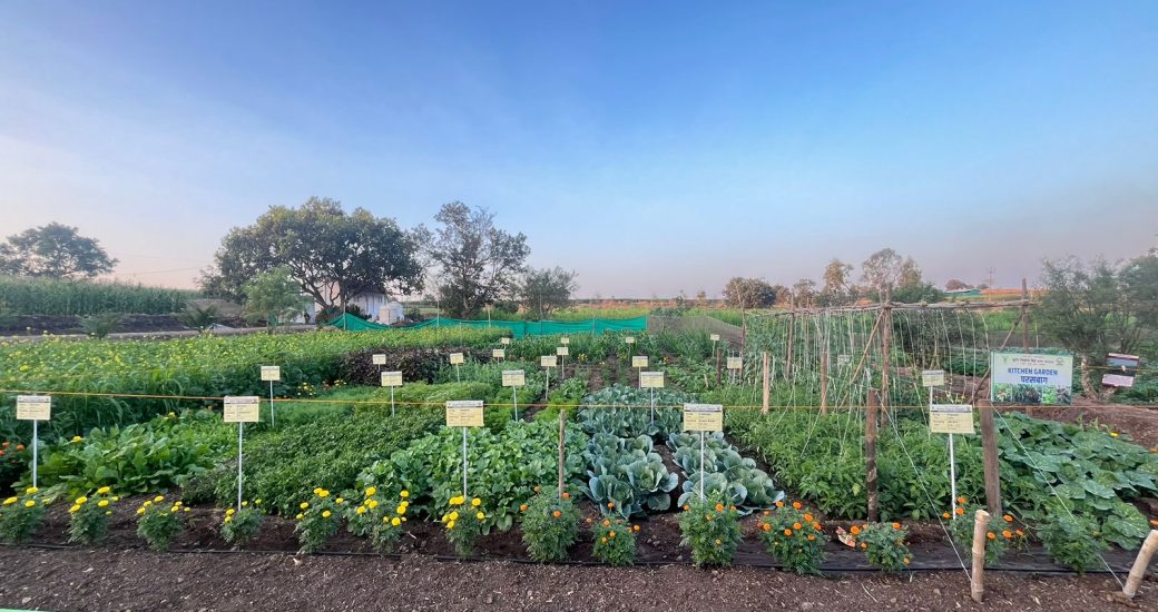 WhatsApp Image 2024-01-17 at 1.16.25 PM