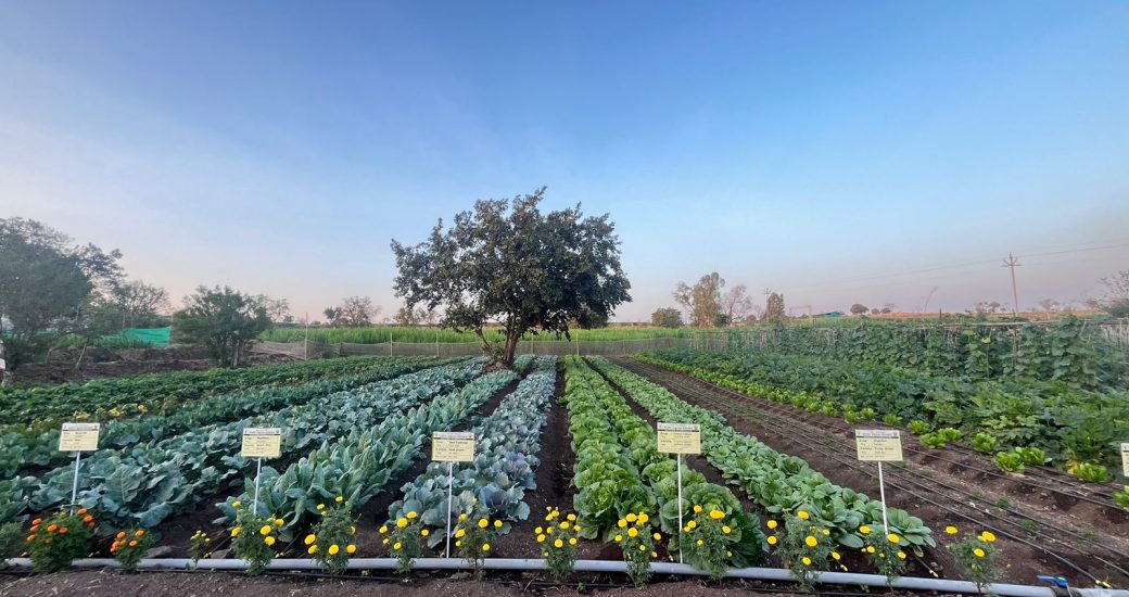 WhatsApp Image 2024-01-17 at 1.16.27 PM