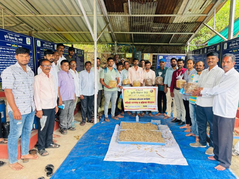 WhatsApp Image 2025-09-19 at 11.58.41 AM (1)