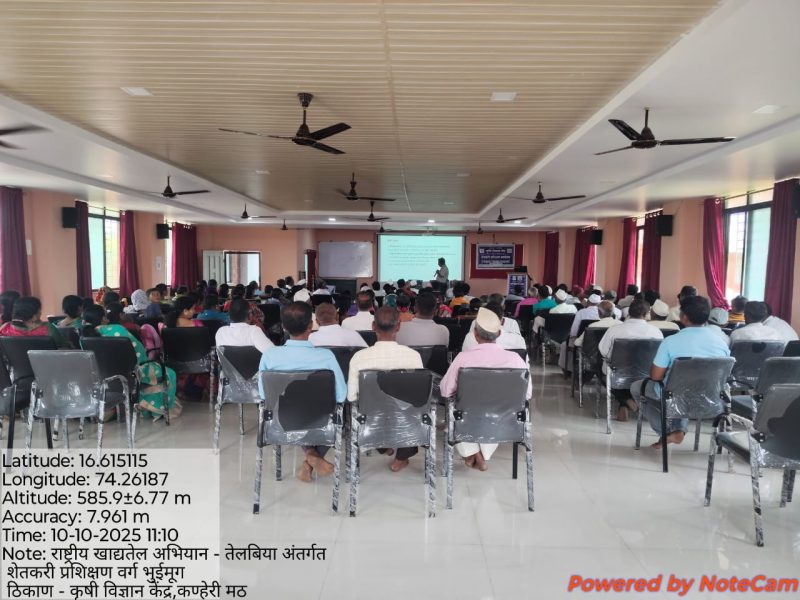 WhatsApp Image 2025-10-09 at 12.26.46 PM (1)