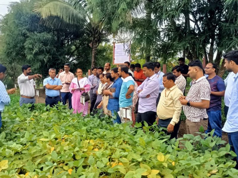 WhatsApp Image 2025-10-27 at 10.56.55 AM