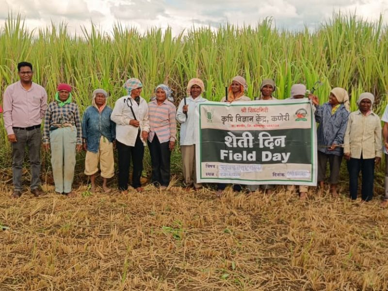 WhatsApp Image 2025-11-10 at 11.47.58 AM