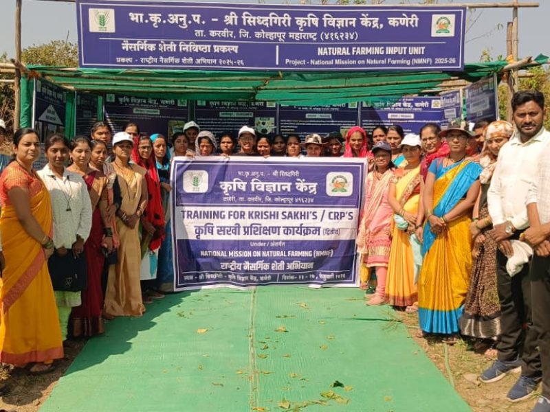 WhatsApp Image 2026-03-02 at 11.13.00 AM (1)